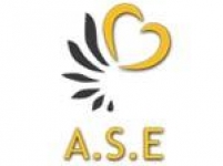 Logo Ase 4