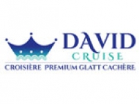 Logo Davidcruise 5