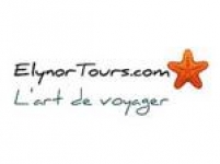 Logo Elynor 4