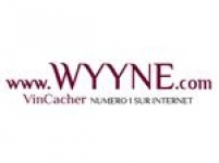 Logo Wyyne 3